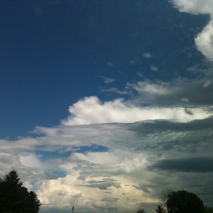 Fundraising Page: Samantha Mattison